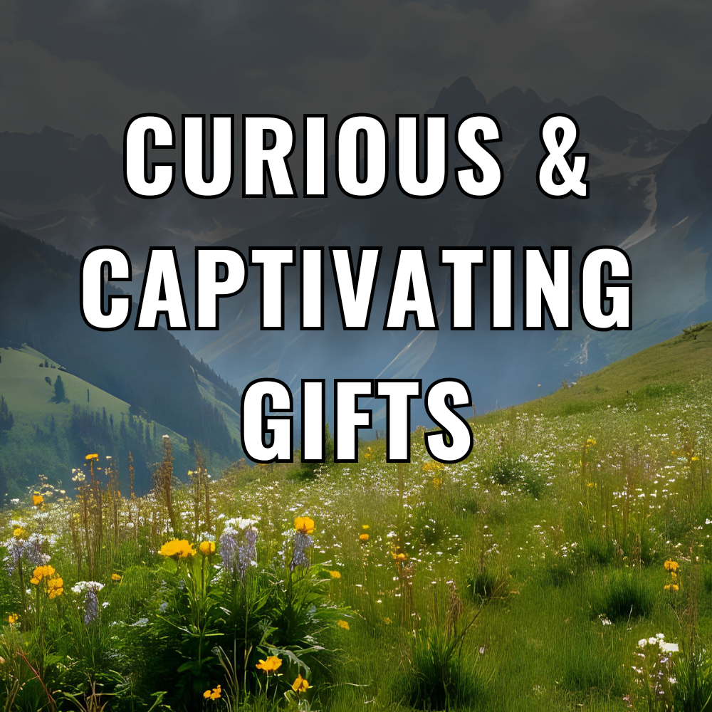 Curious & Captivating Gifts