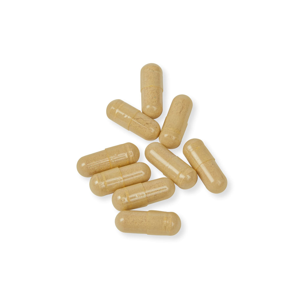 WildBound Multivitamin for Men Supplement (60 Capsules) - Hidden Realm Essentials