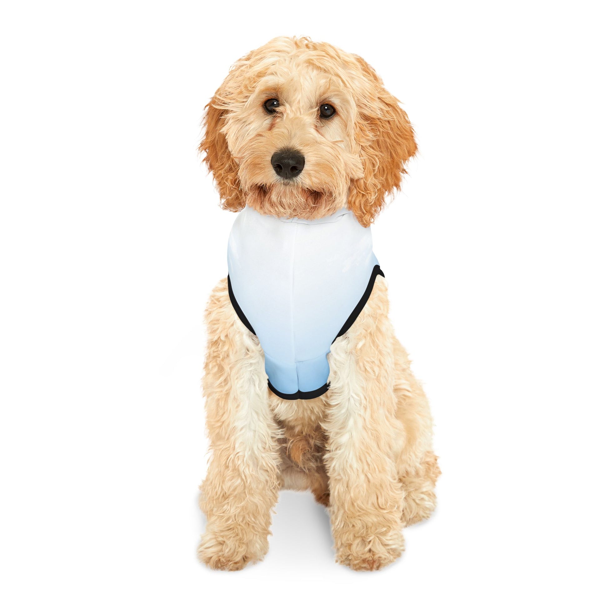 Bigfoot Adventure Pet Hoodie