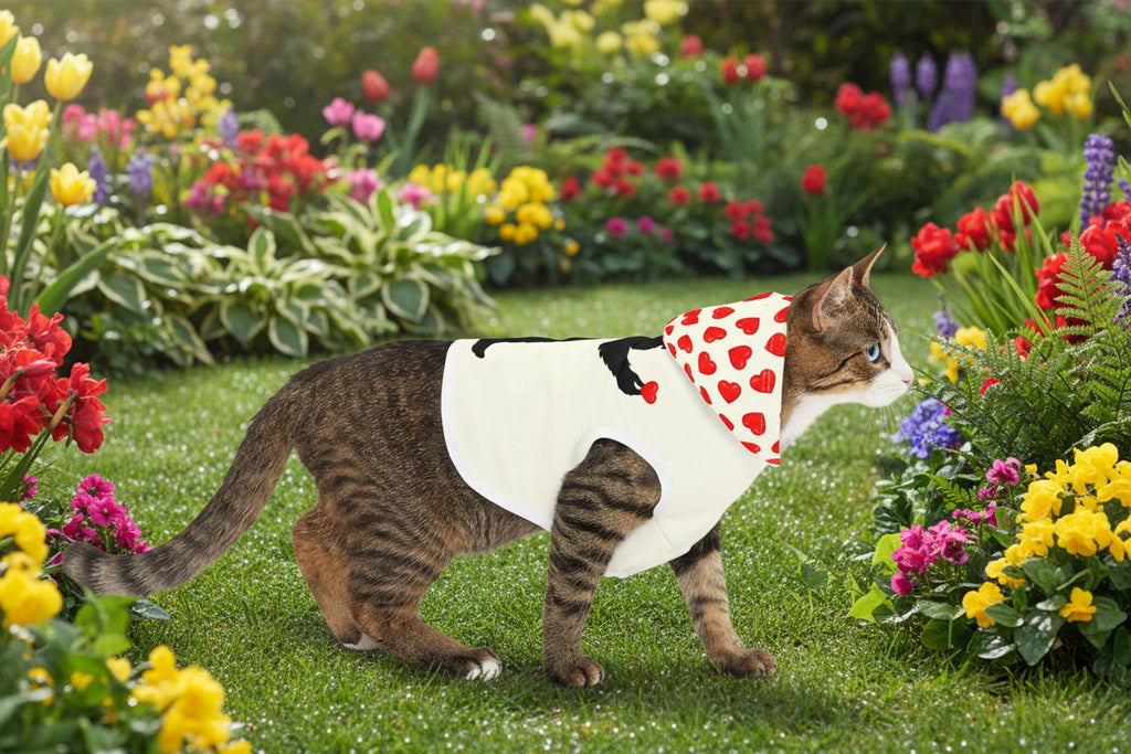 Cat wearing a white shirt with a red heart pattern on a white background