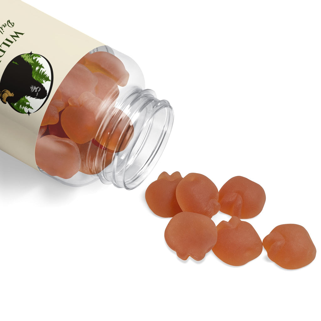 WildBound Apple Cider Vinegar Gummies (60 Gummies) - Hidden Realm Essentials