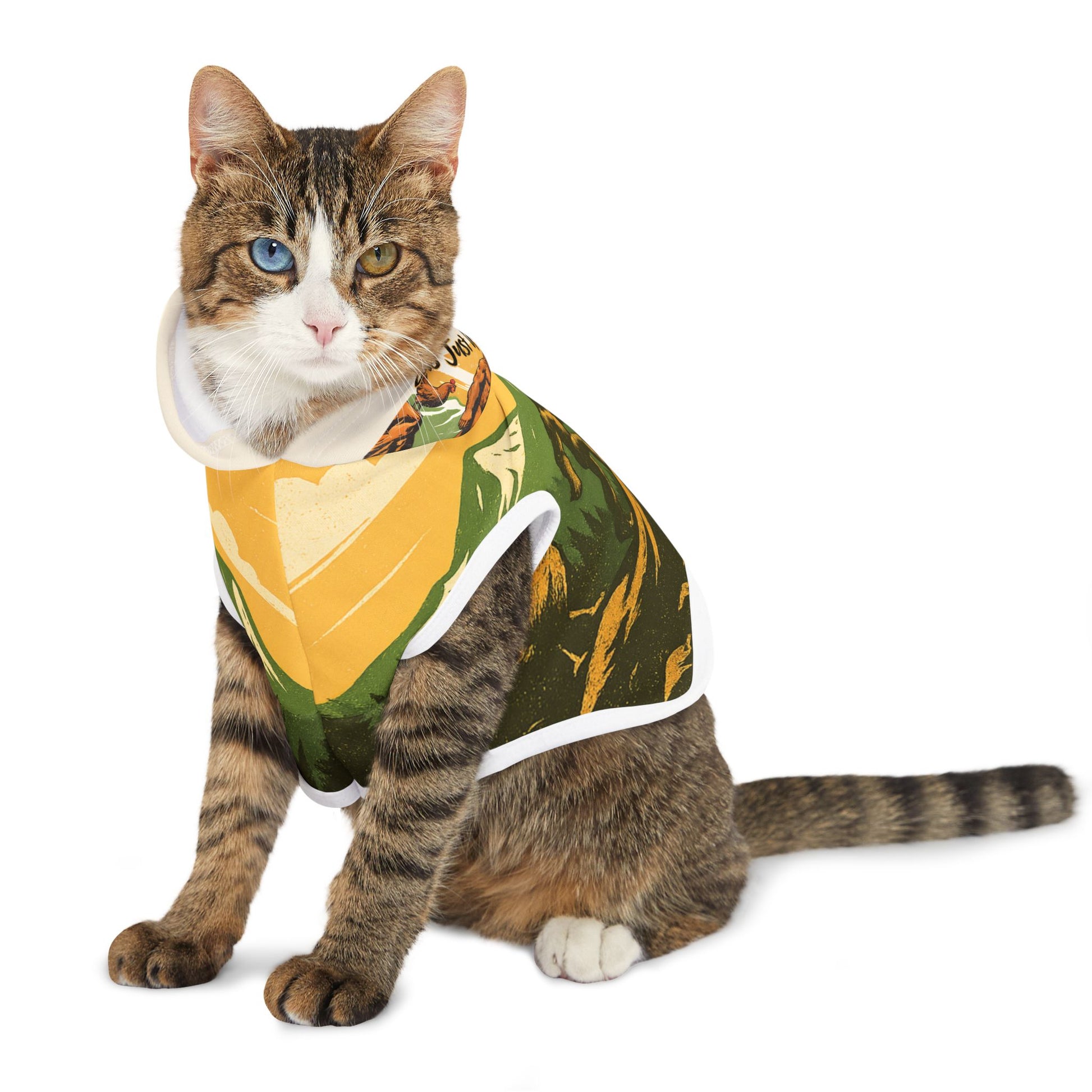 Let’s Just Go – Wander Wild Pet Hoodie