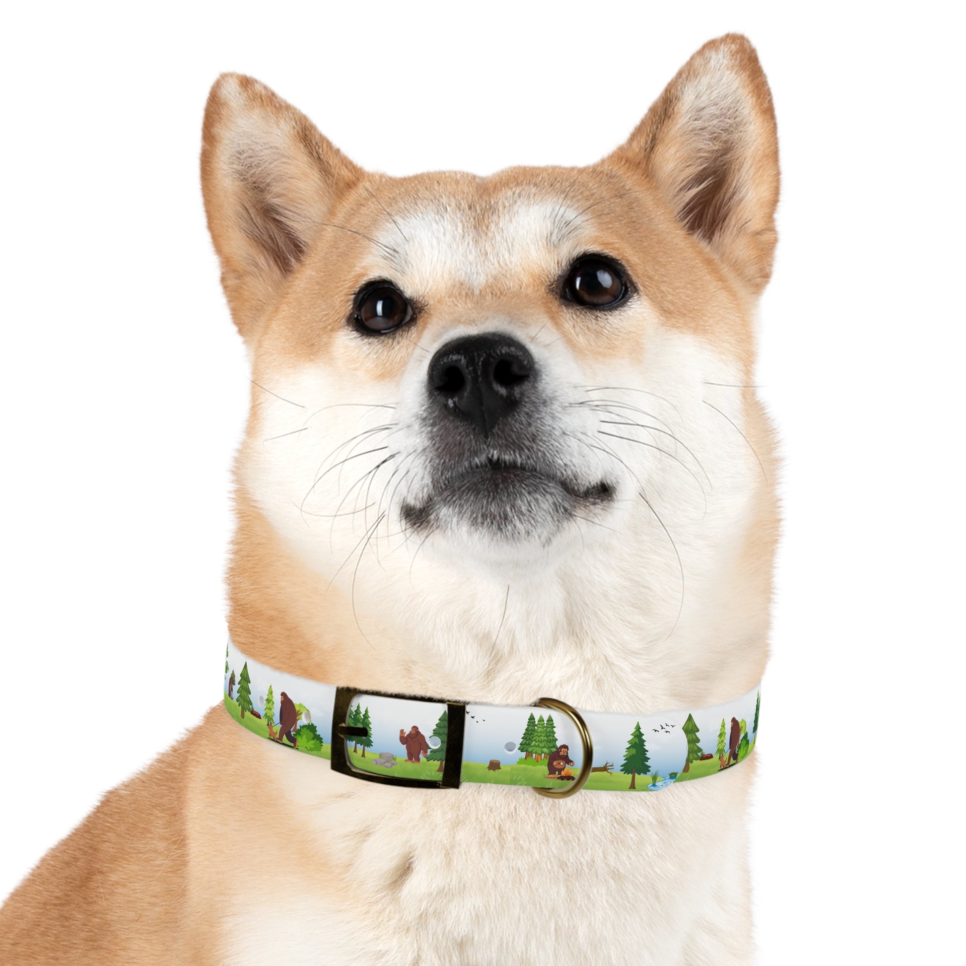 Bigfoot Adventure Pet Collar
