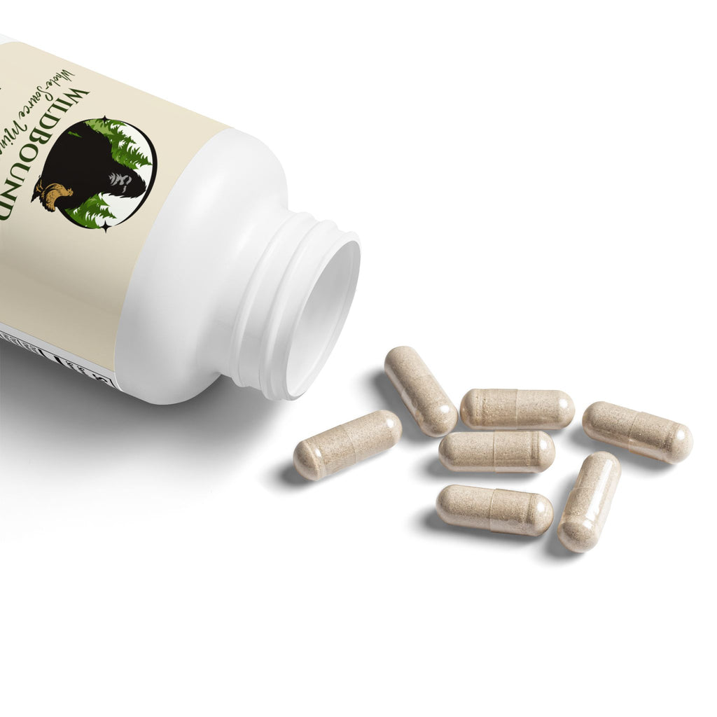 WildBound Sea Moss Supplement (60 Capsules) - Hidden Realm Essentials