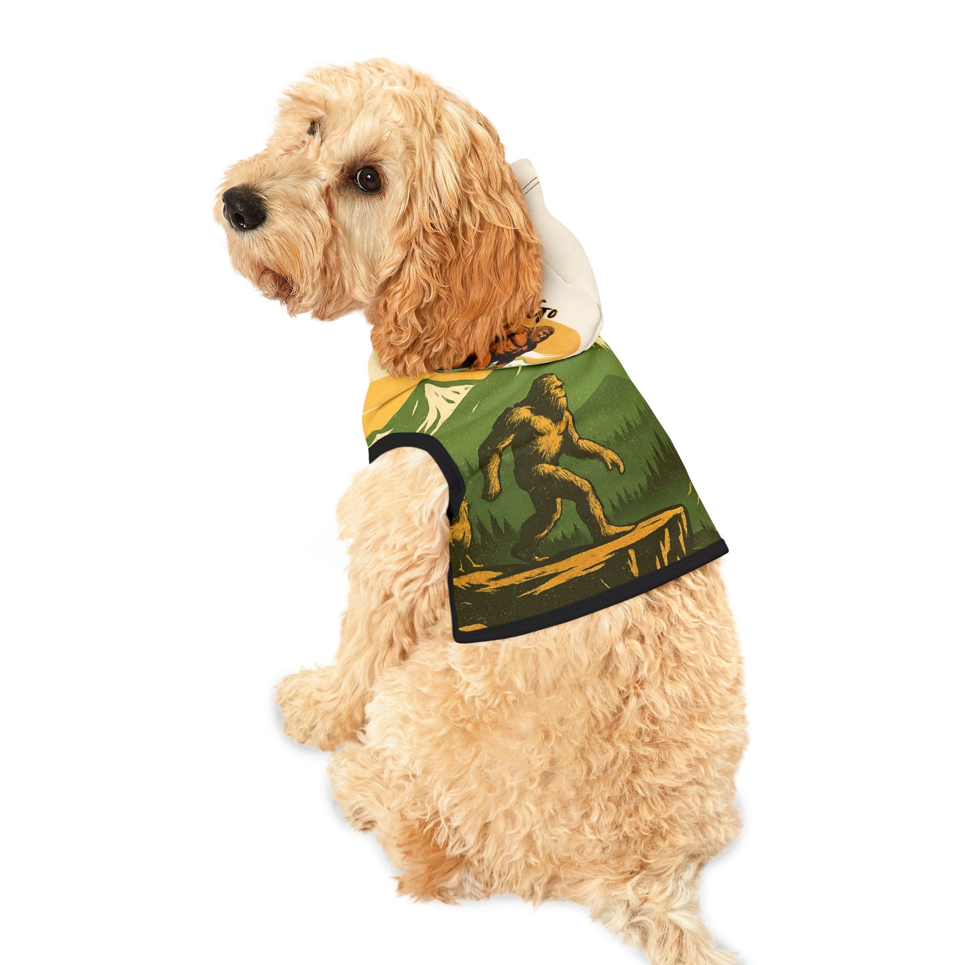 Let’s Just Go – Wander Wild Pet Hoodie