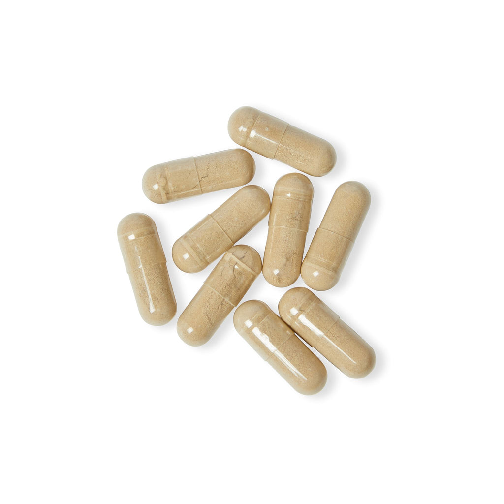 WildBound Magnesium Zinc Supplement (90 Capsules) - Hidden Realm Essentials
