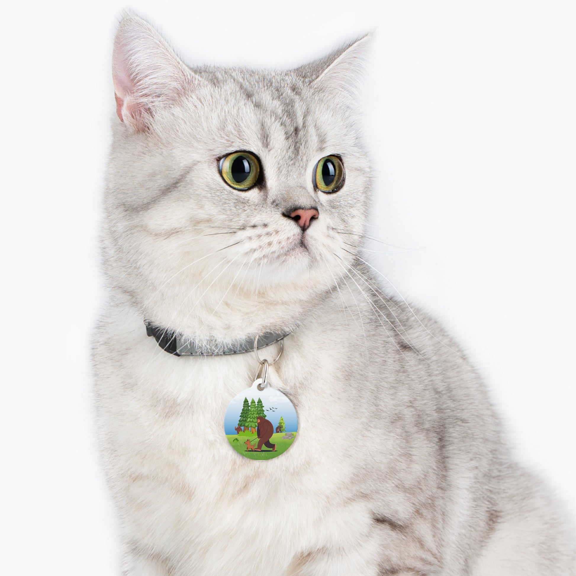 Bigfoot Adventure Pet Tag