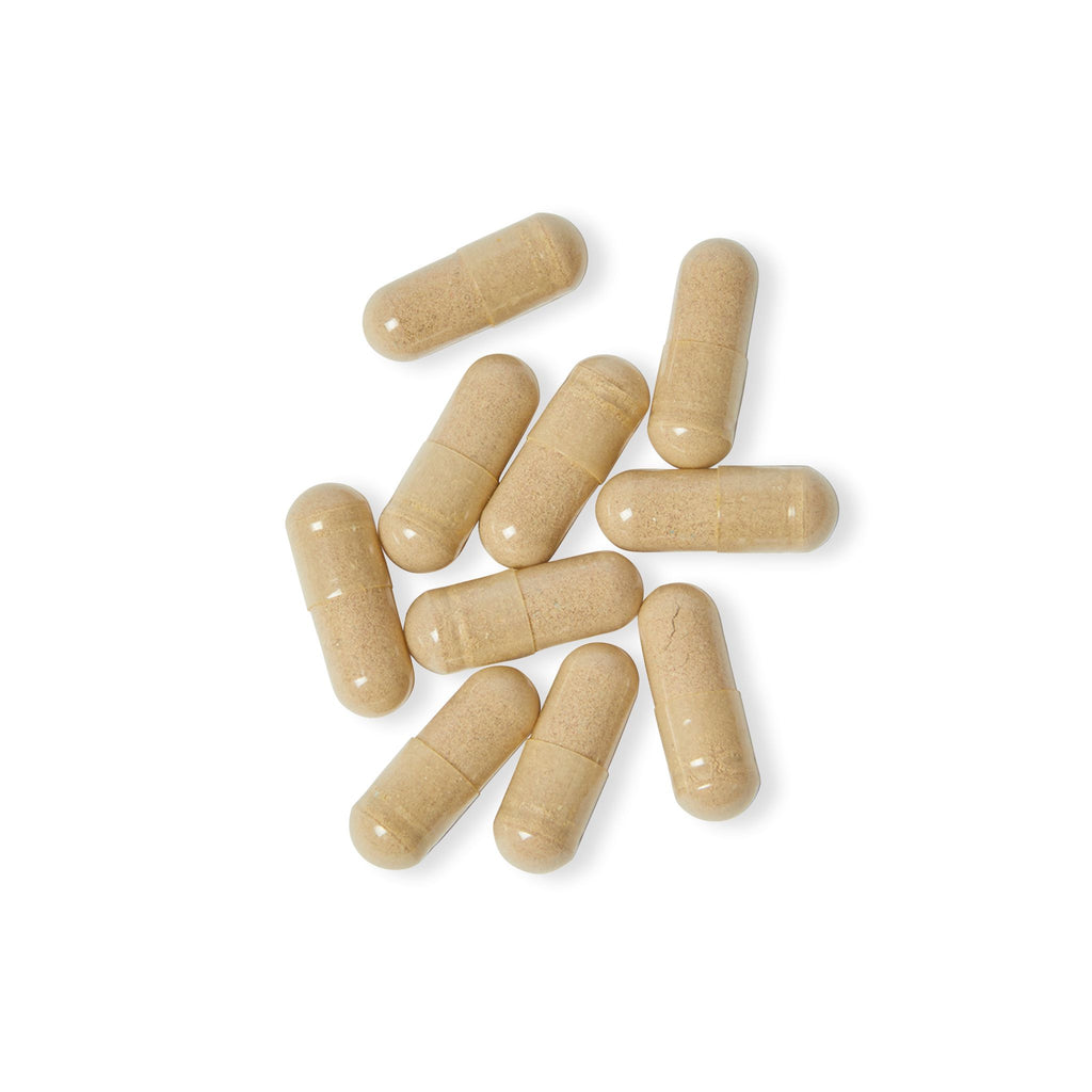 WildBound Multivitamin for Women Supplement (60 Capsules) - Hidden Realm Essentials