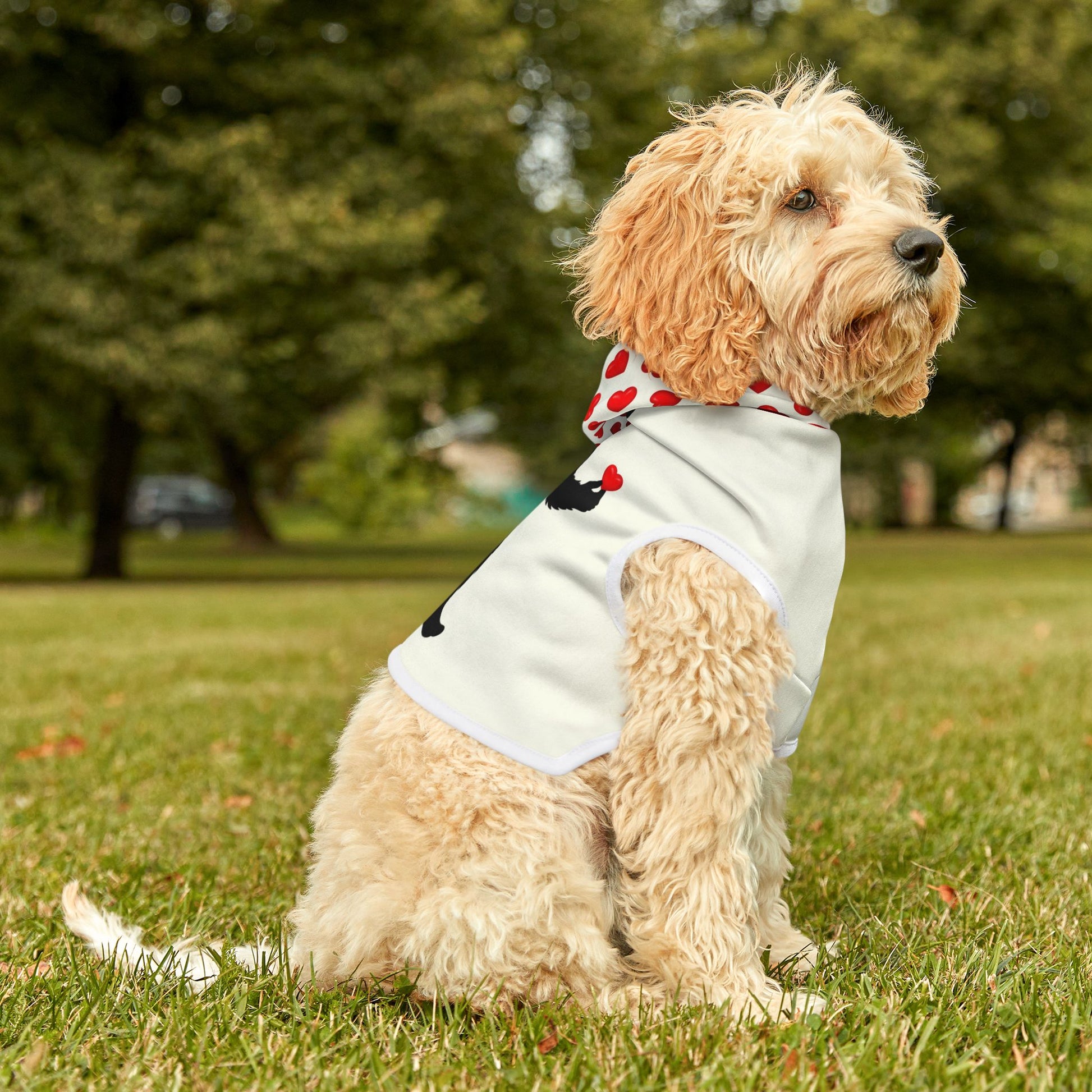 Gentle Giant – Bigfoot Pet Hoodie