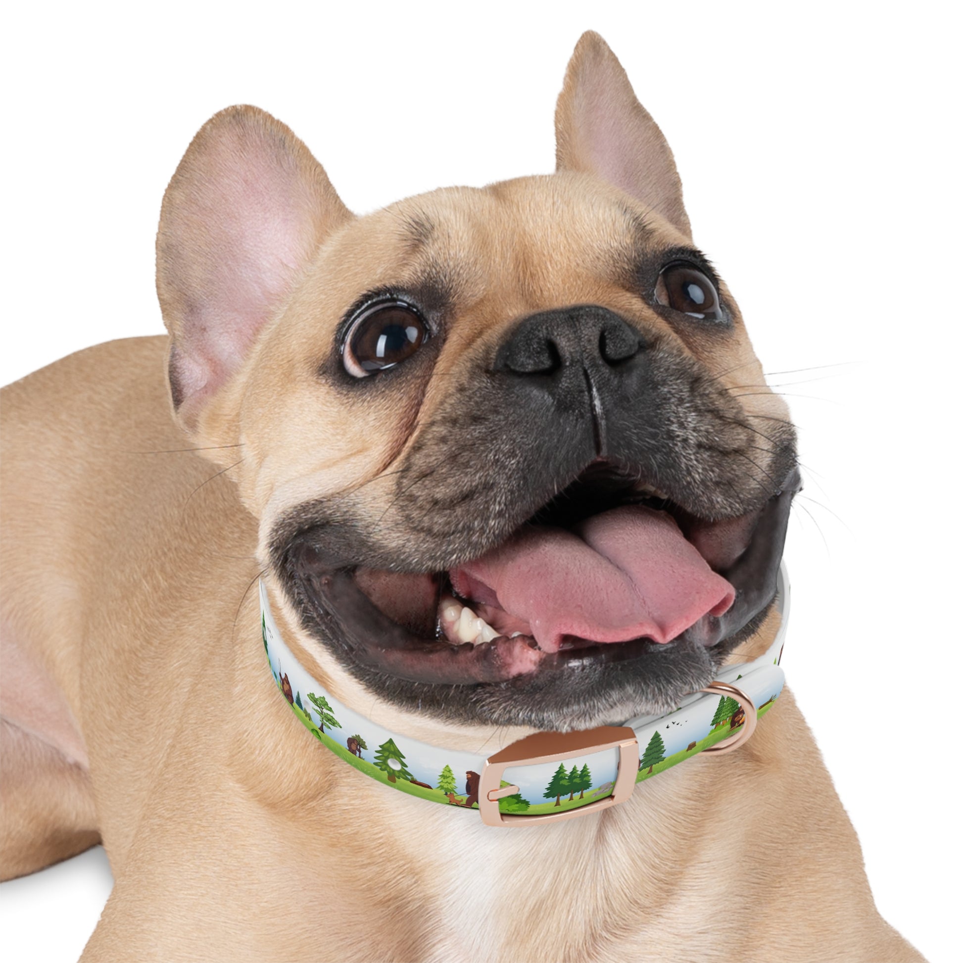 Bigfoot Adventure Pet Collar