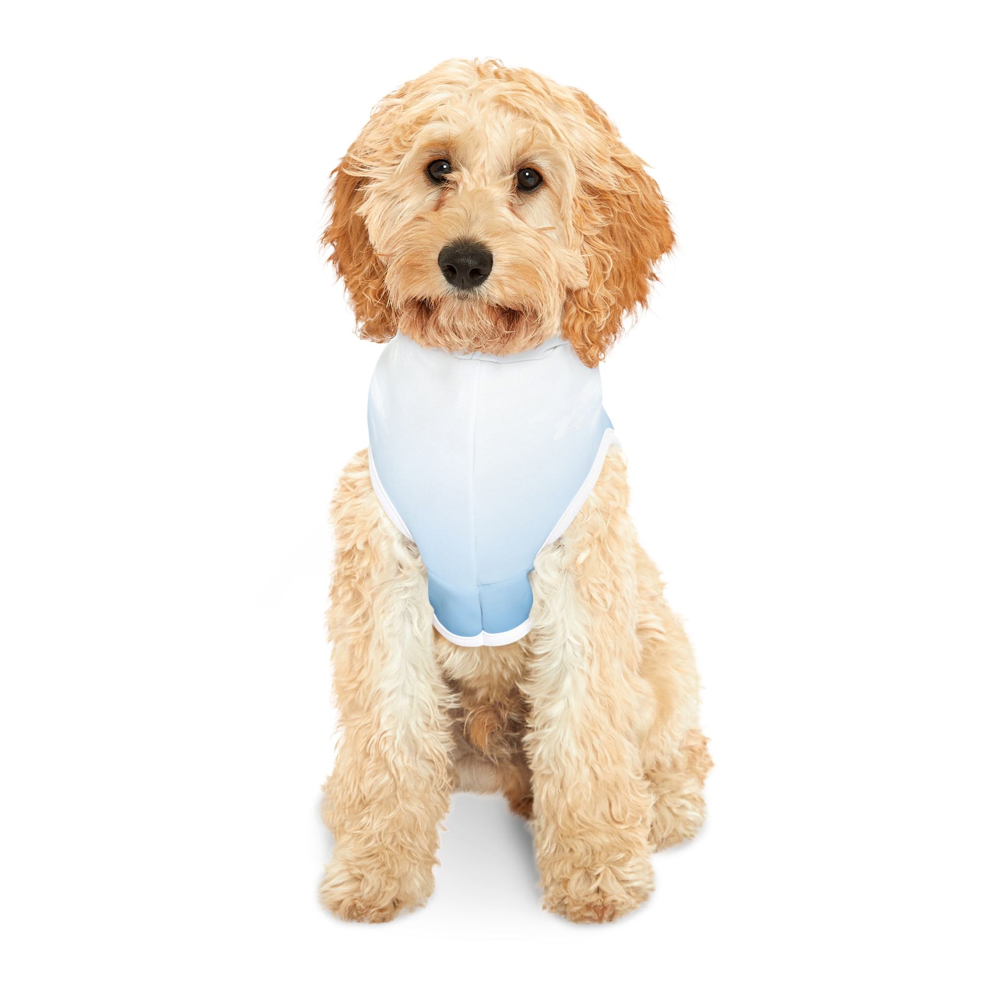 Bigfoot Adventure Pet Hoodie