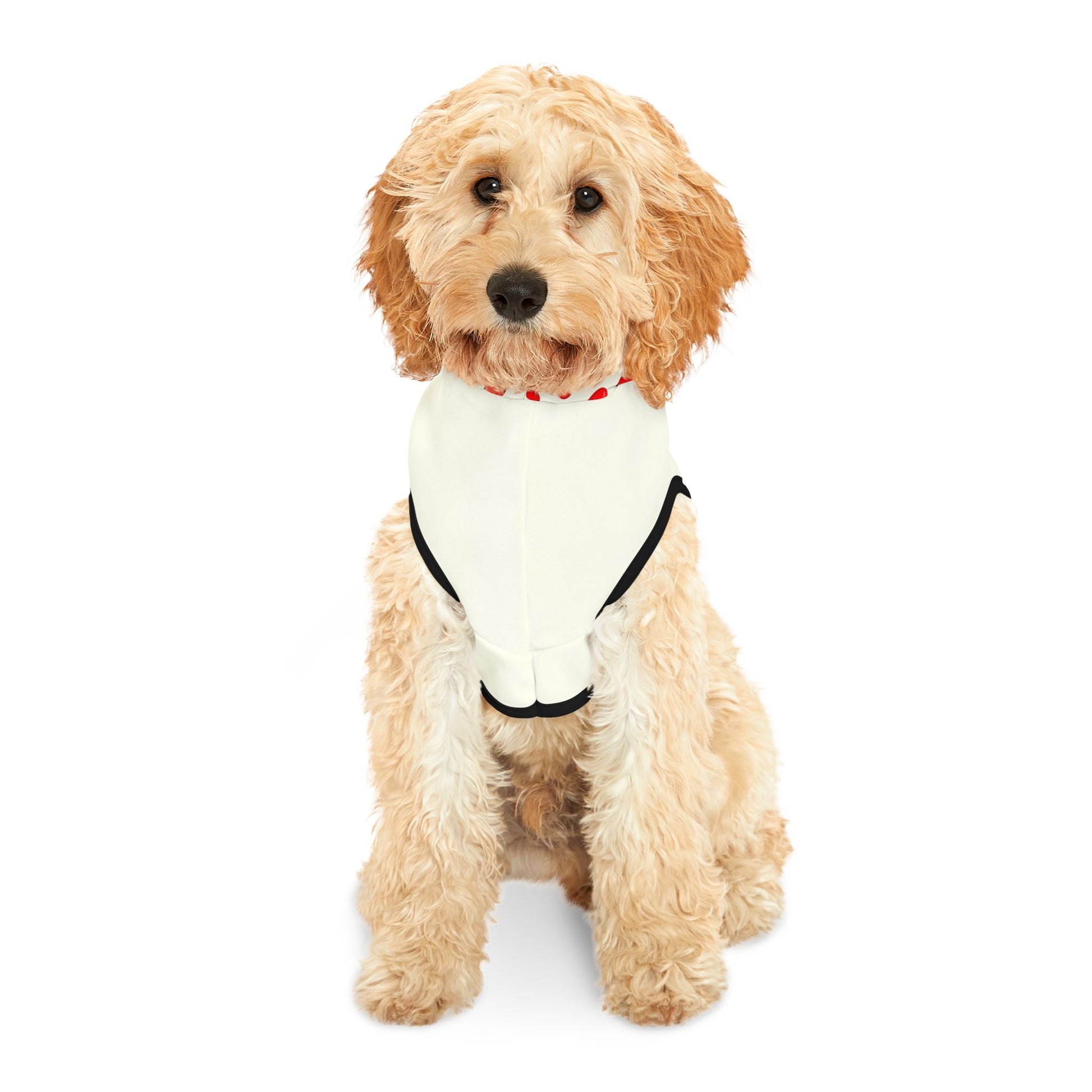 Gentle Giant – Bigfoot Pet Hoodie