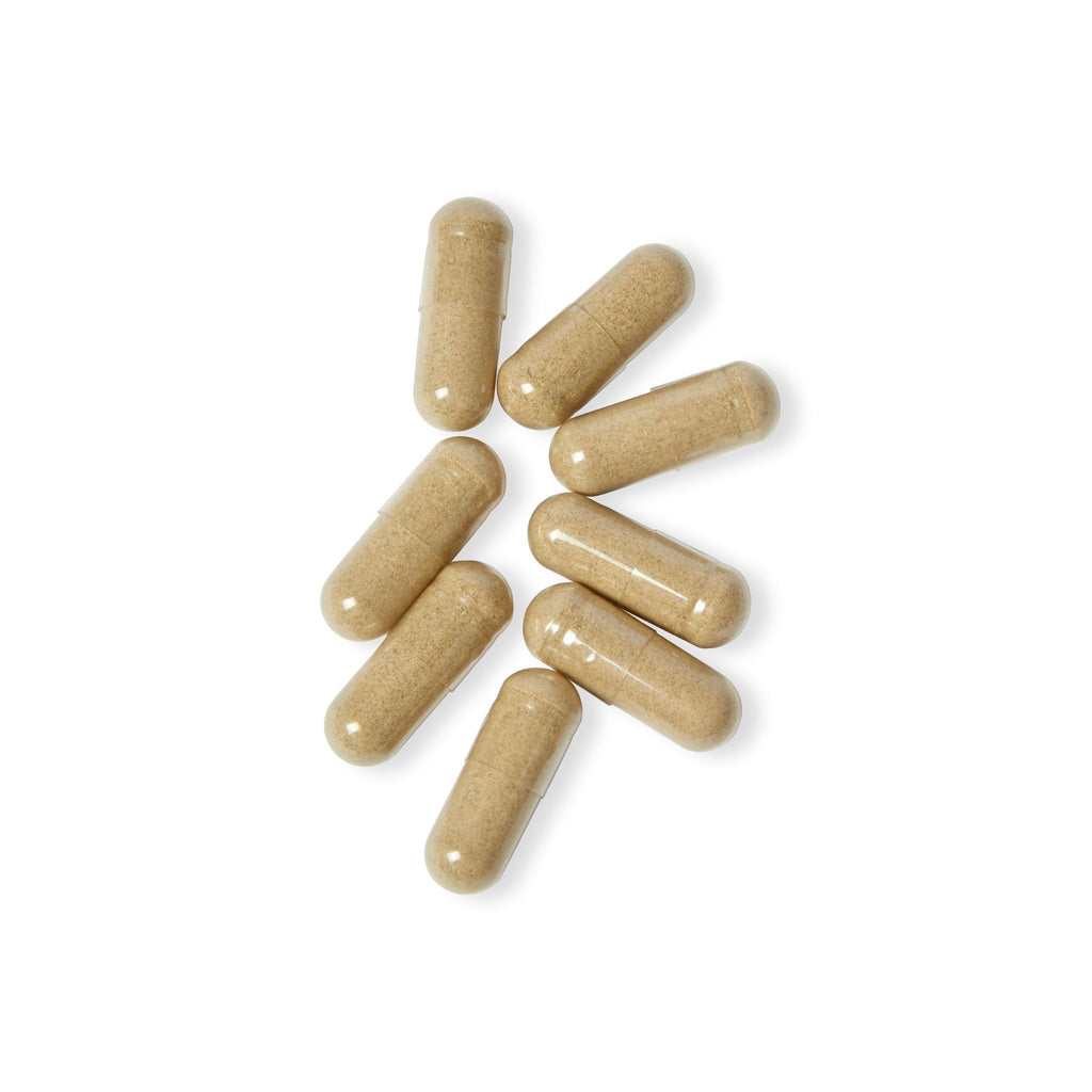 WildBound Acai Berry Complex Supplement (60 Capsules) - Hidden Realm Essentials