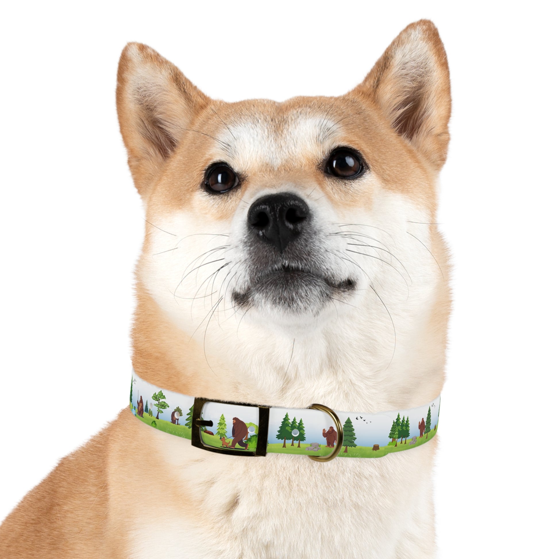 Bigfoot Adventure Pet Collar