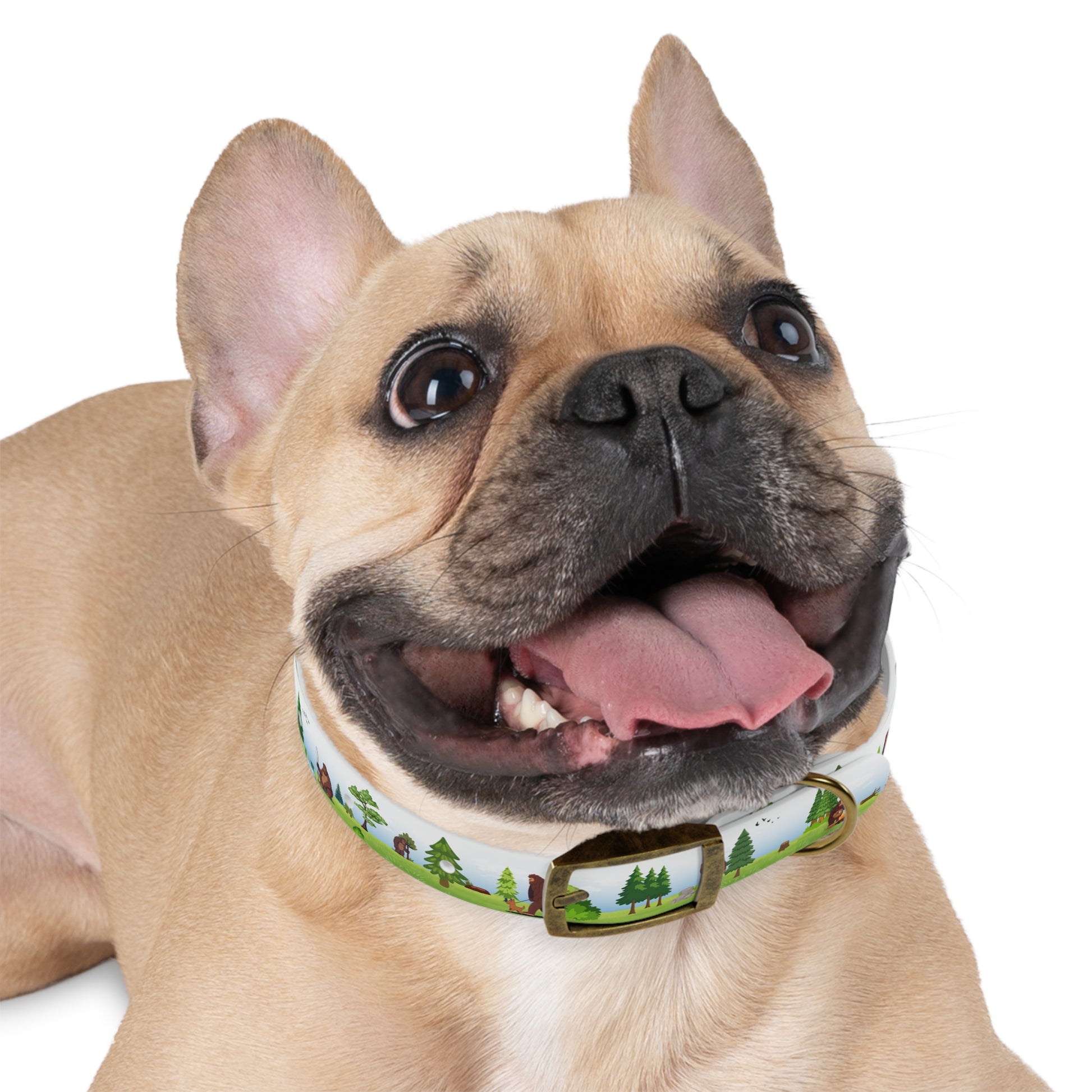 Bigfoot Adventure Pet Collar