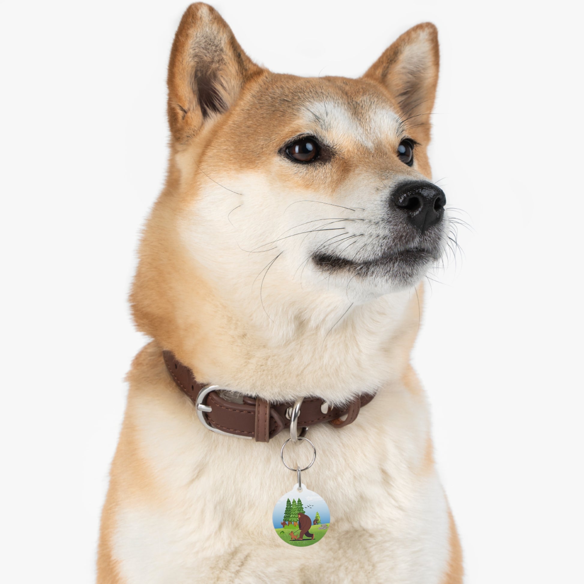 Bigfoot Adventure Pet Tag