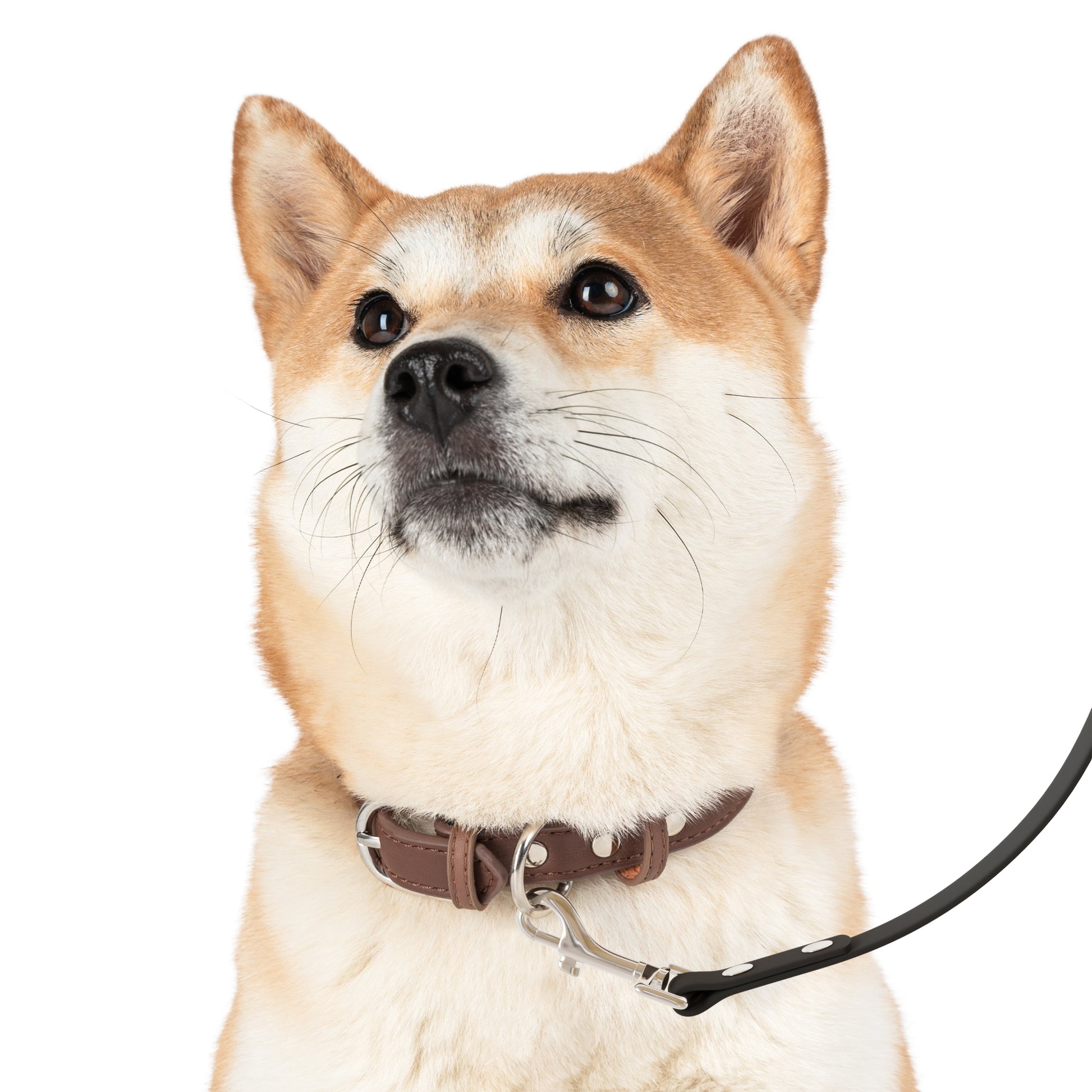 Bigfoot Adventure Pet Leash
