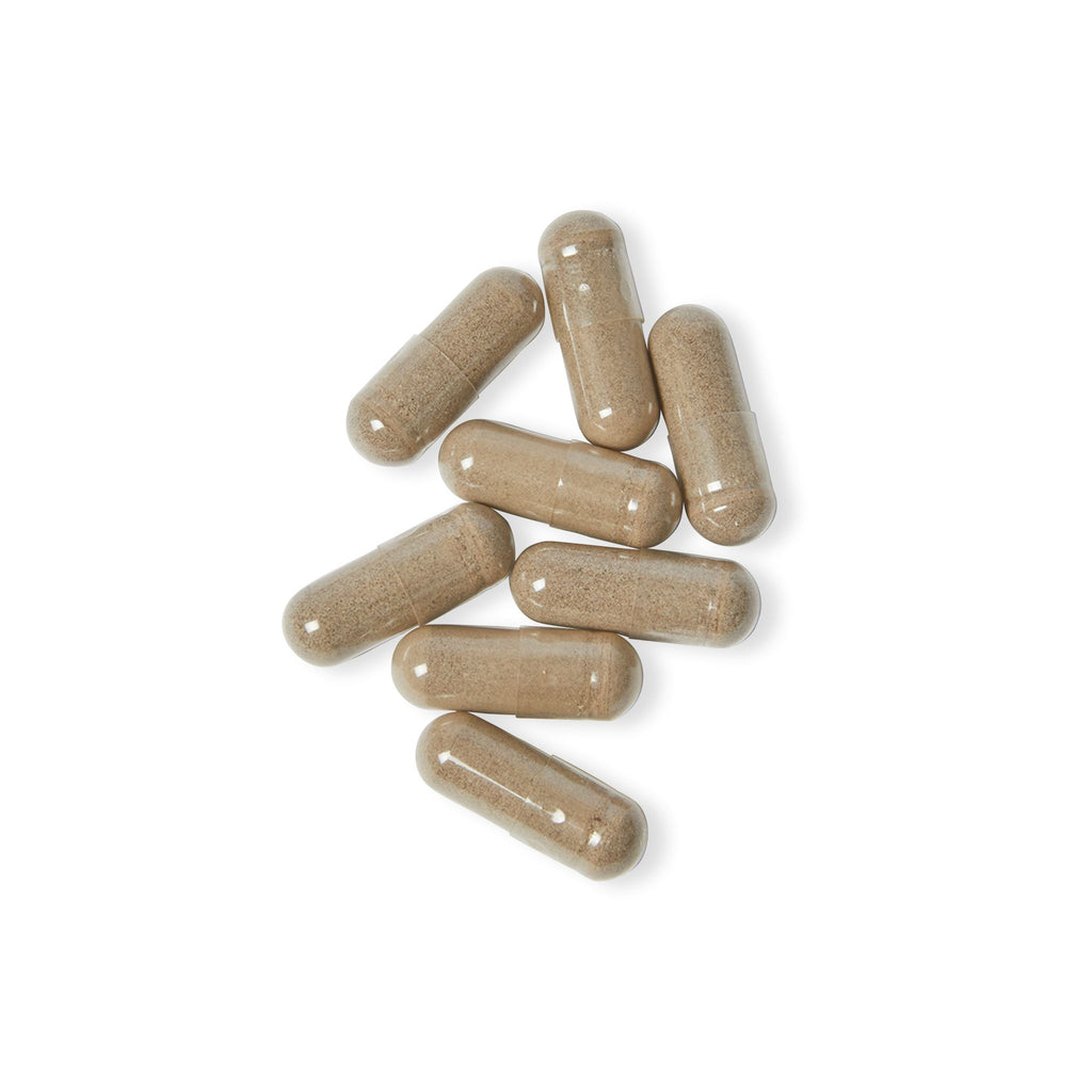 WildBound Sea Moss Supplement (60 Capsules) - Hidden Realm Essentials
