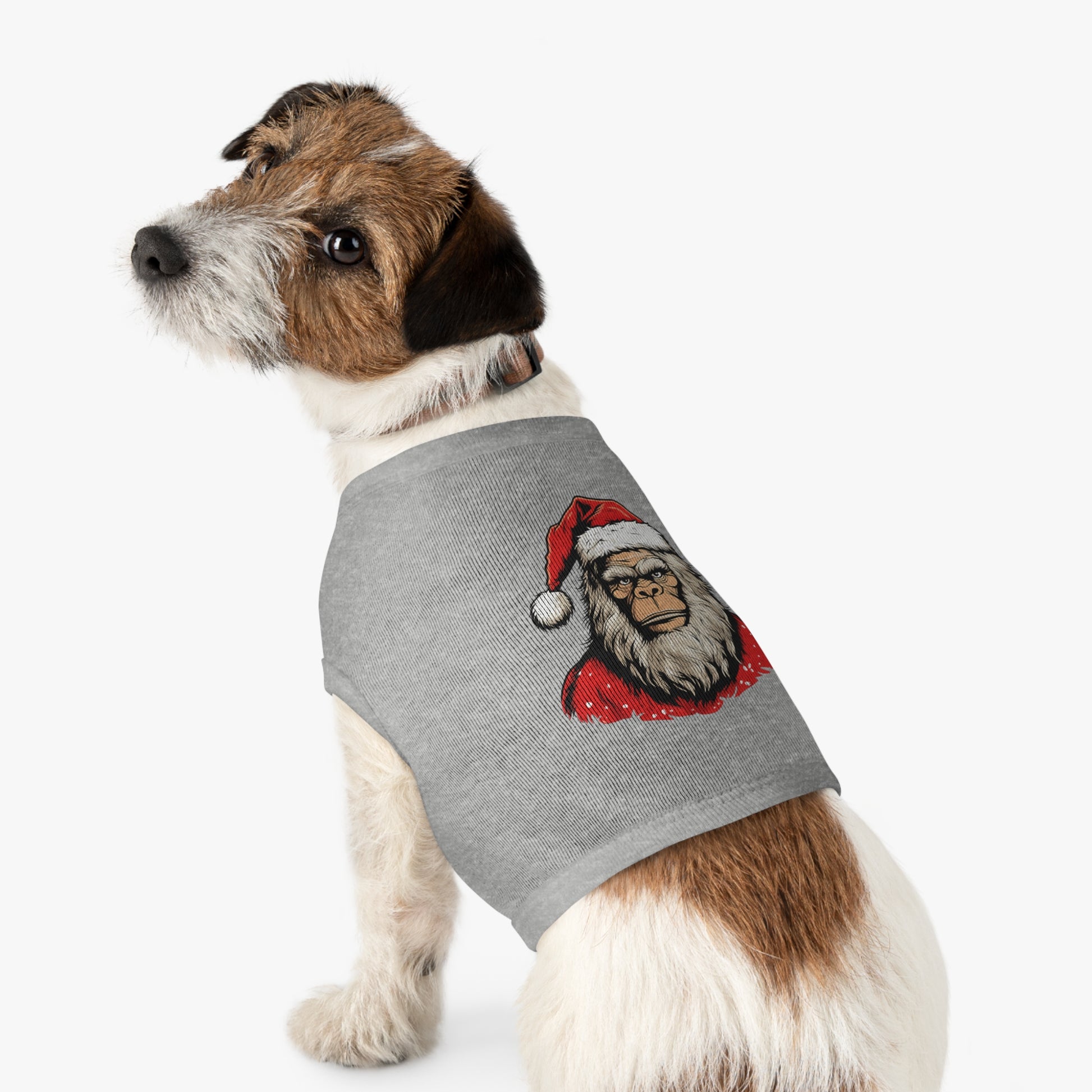 Santa Squatch – Holiday Pet Tank