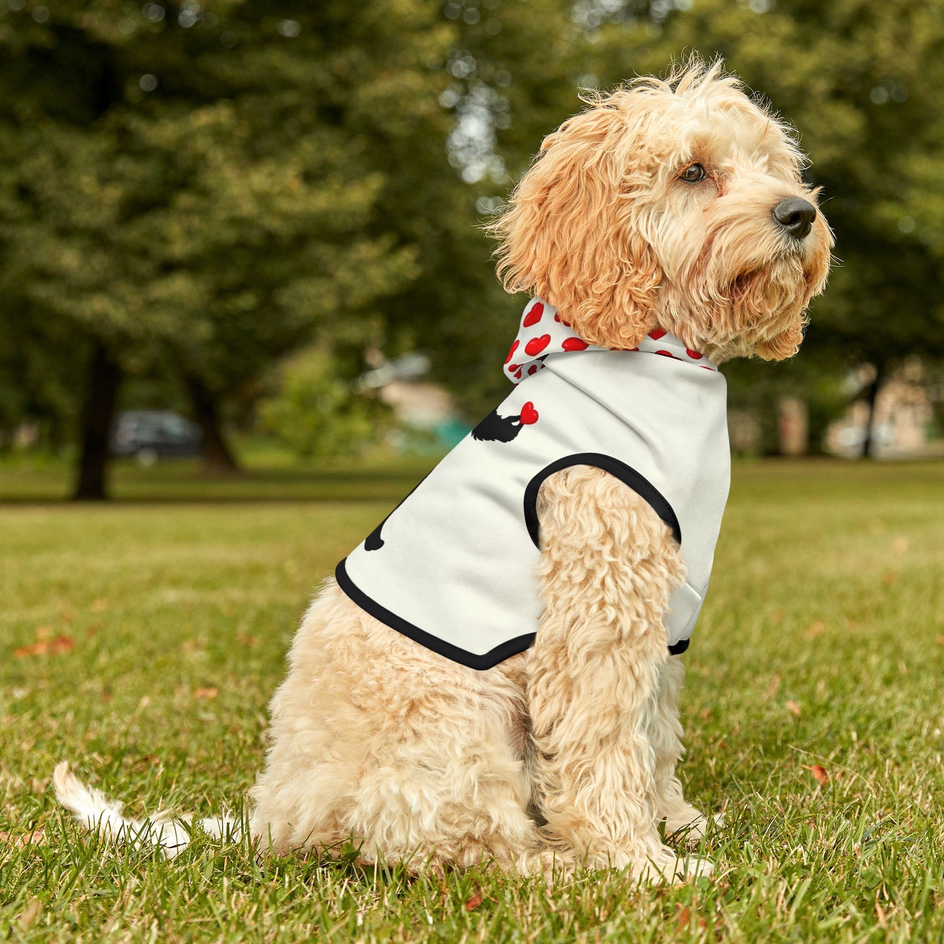 Gentle Giant – Bigfoot Pet Hoodie