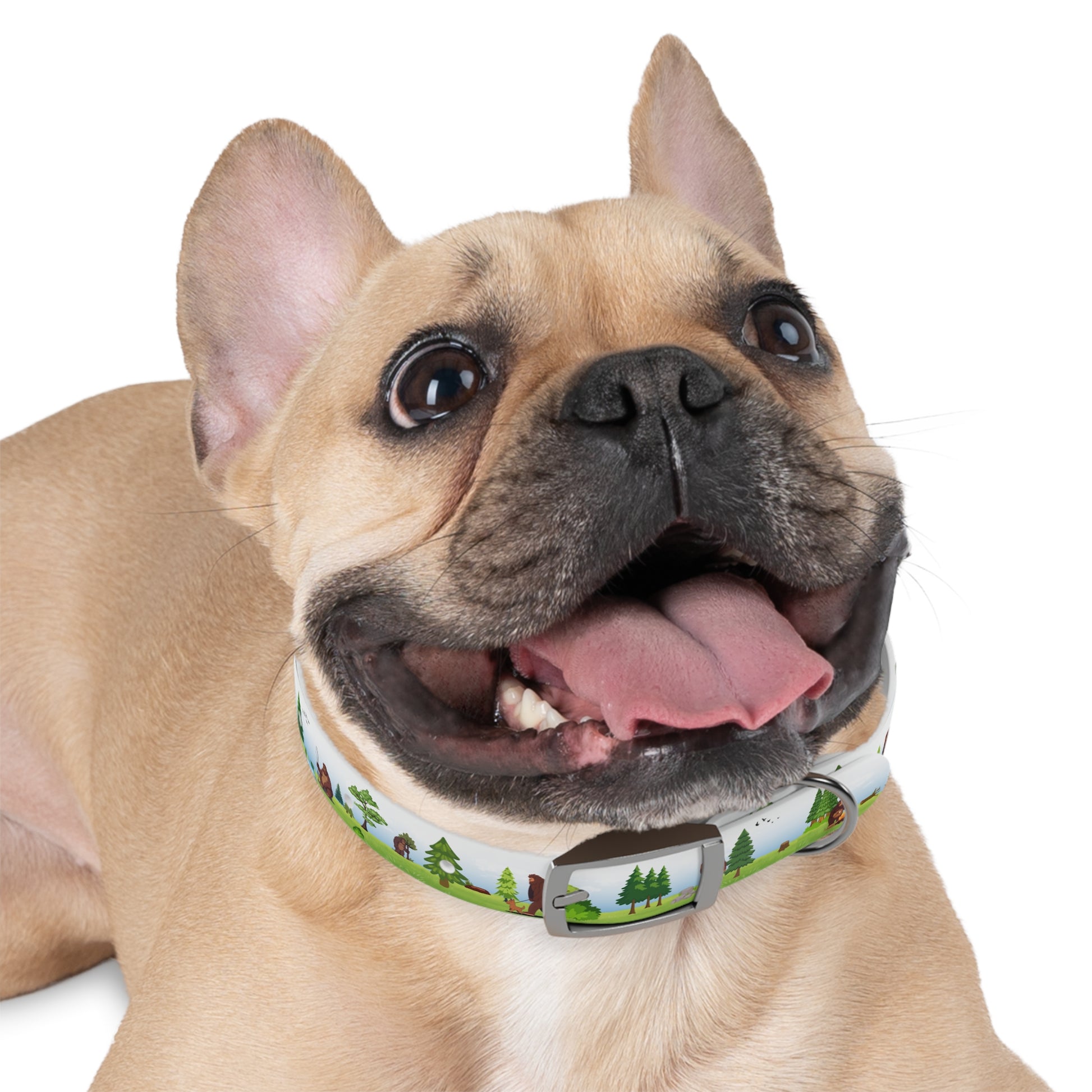Bigfoot Adventure Pet Collar