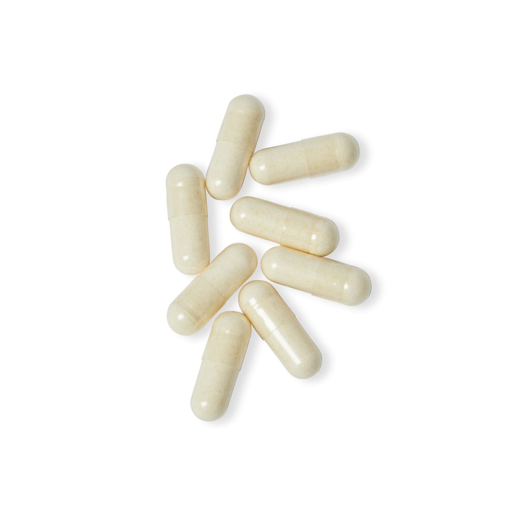 WildBound Probiotics Supplement (60 Capsules) - Hidden Realm Essentials
