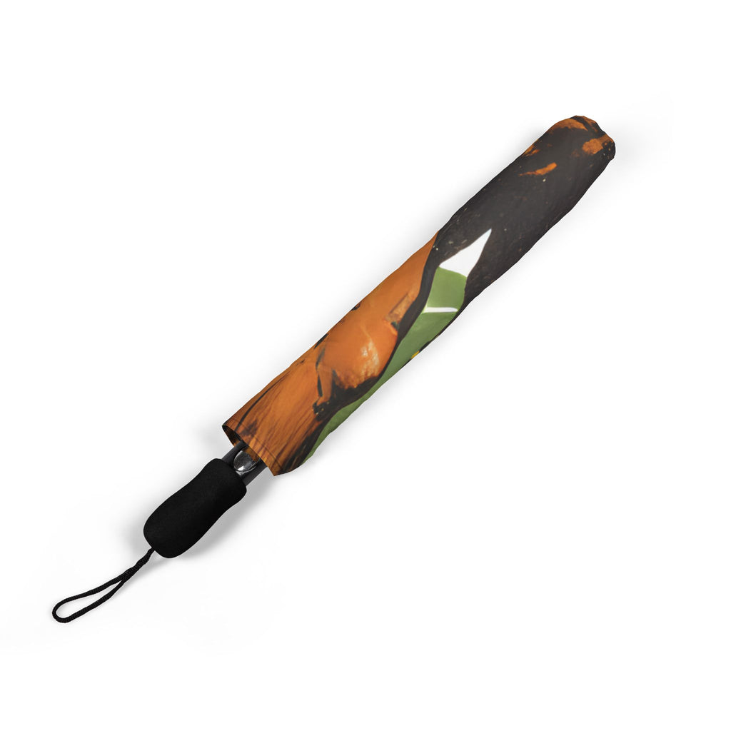 Let’s Just Go – Summit Striders All-Weather Explorer Umbrella