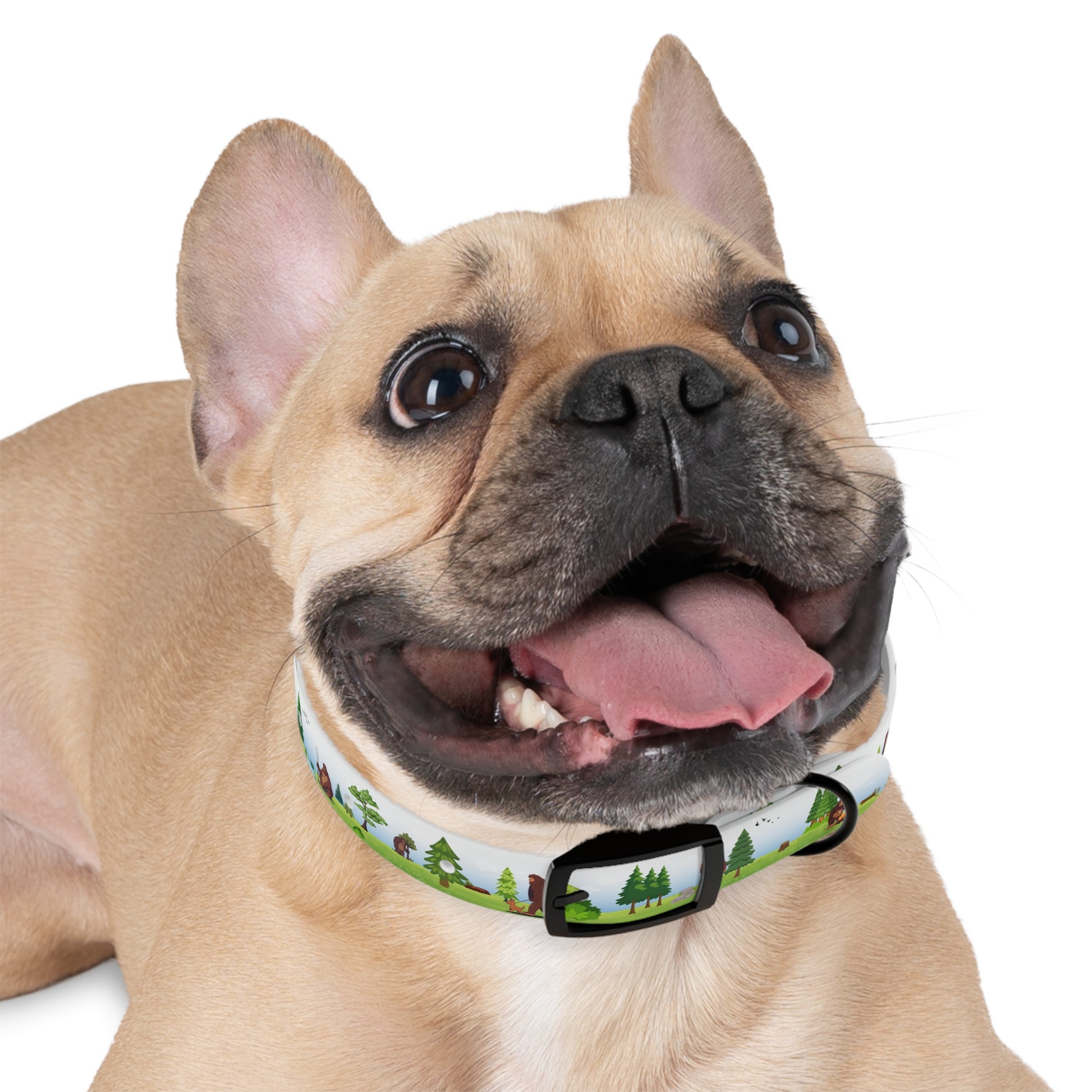Bigfoot Adventure Pet Collar
