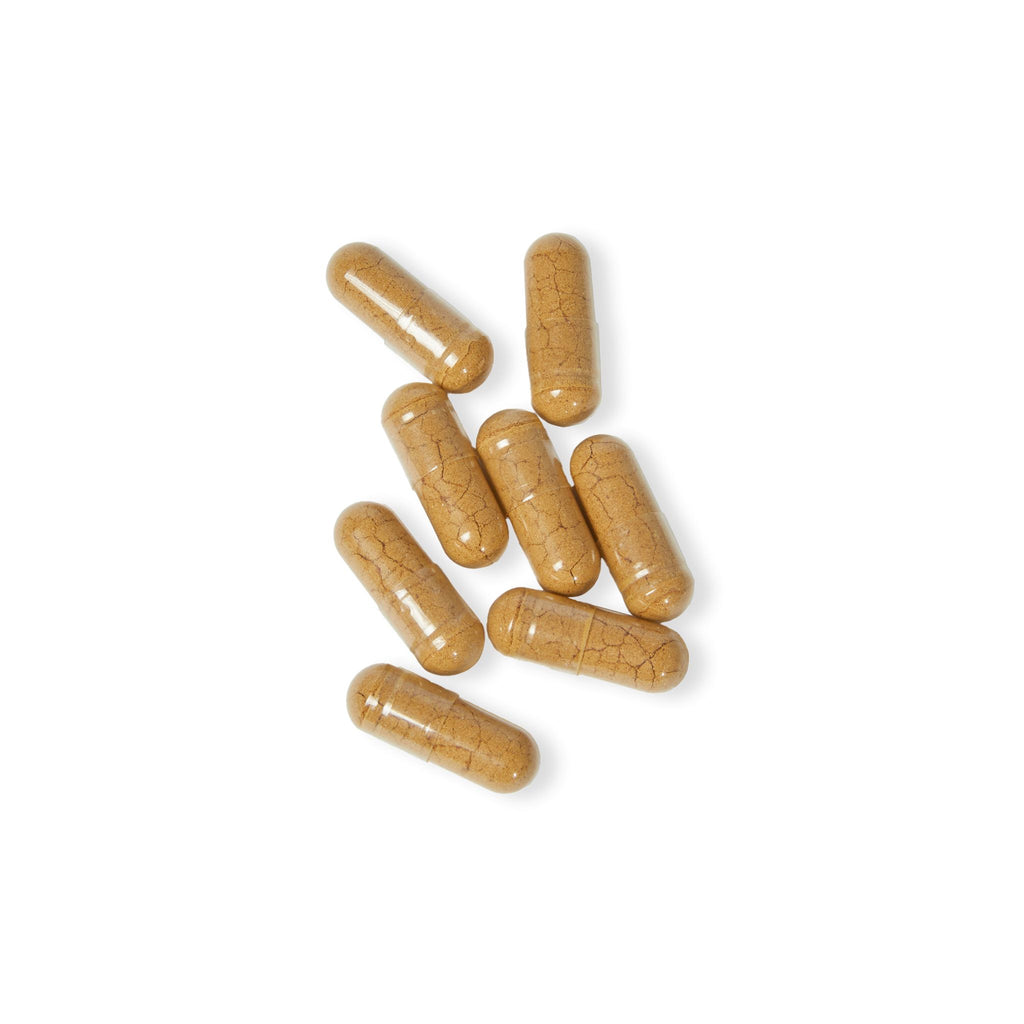 WildBound Mushroom Complex Blend Supplement (60 Capsules) -  Hidden Realm Essentials